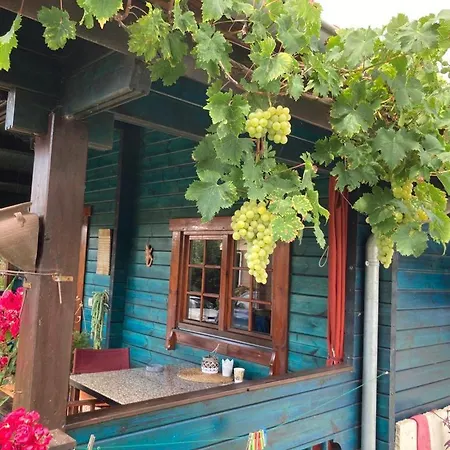 Casa Azul Apartment
